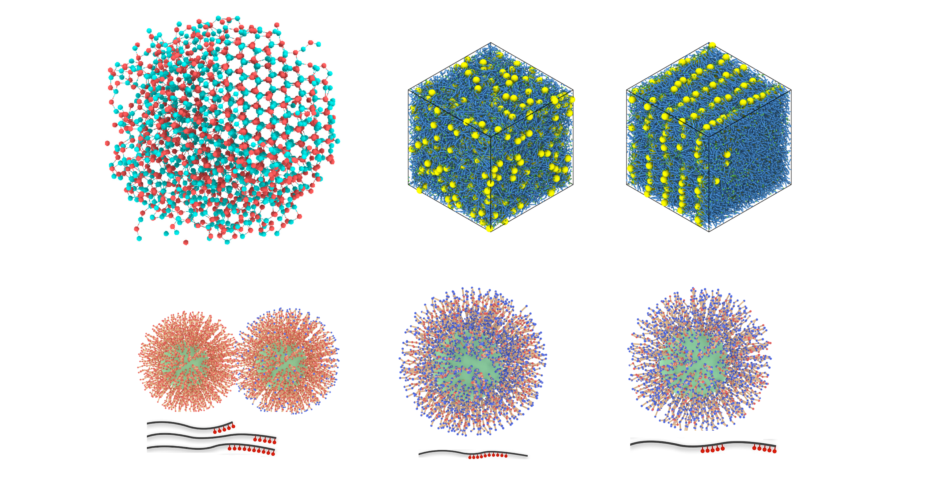 Colloid Assembly & Physical Properties