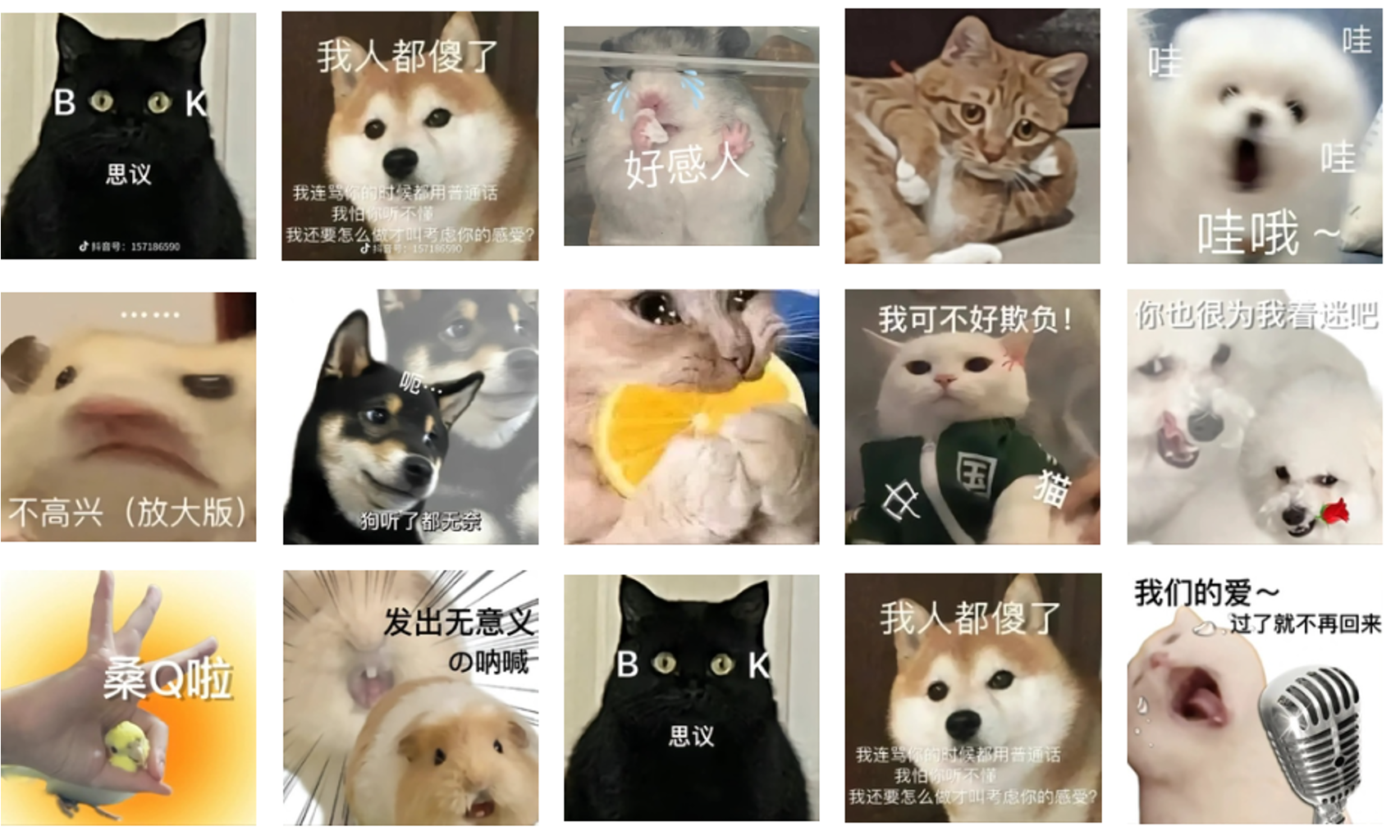 QM